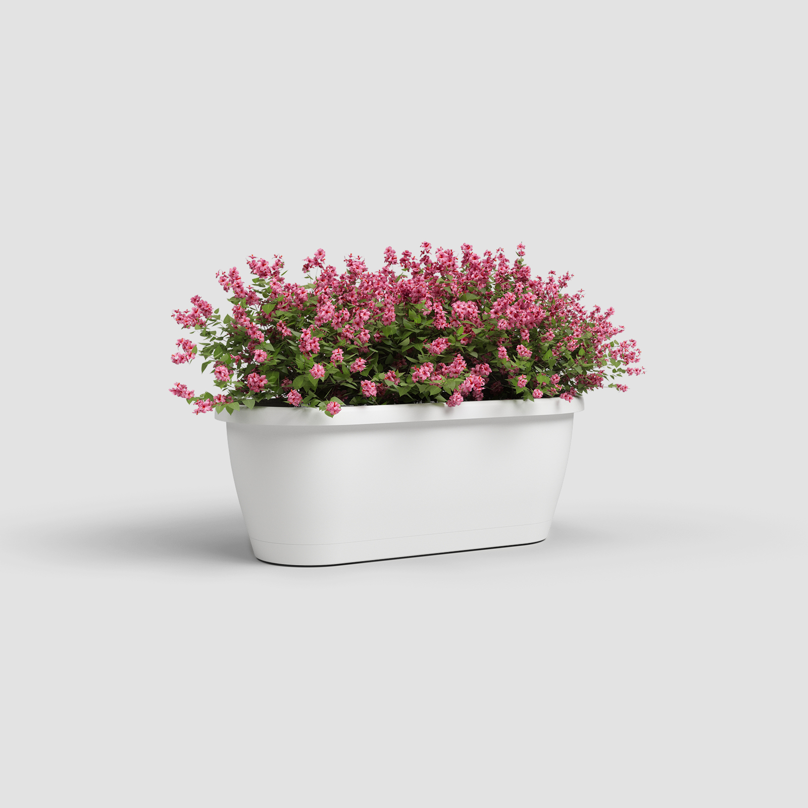 Algarve Wall Plant Box