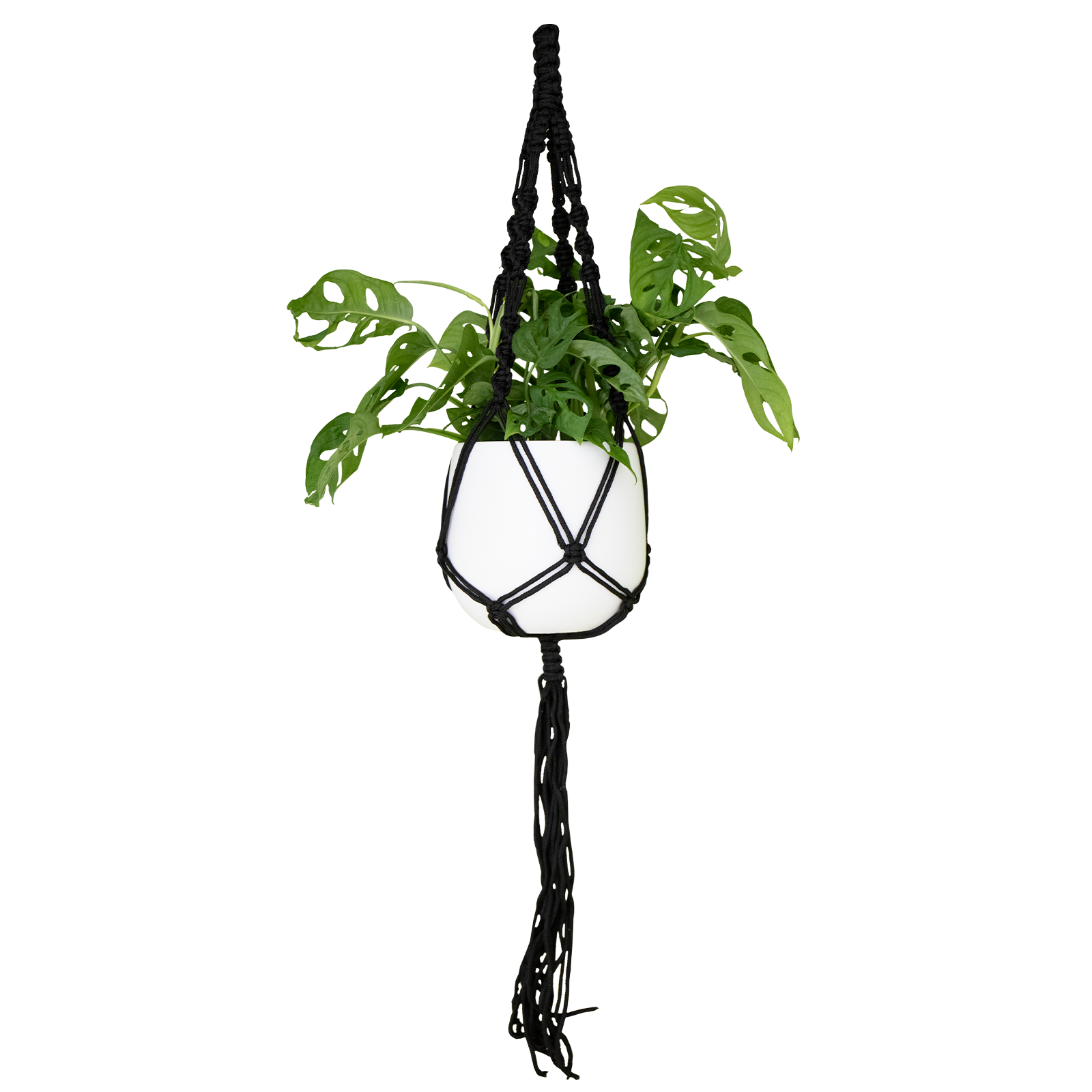 Macrame Single Spiral Knot