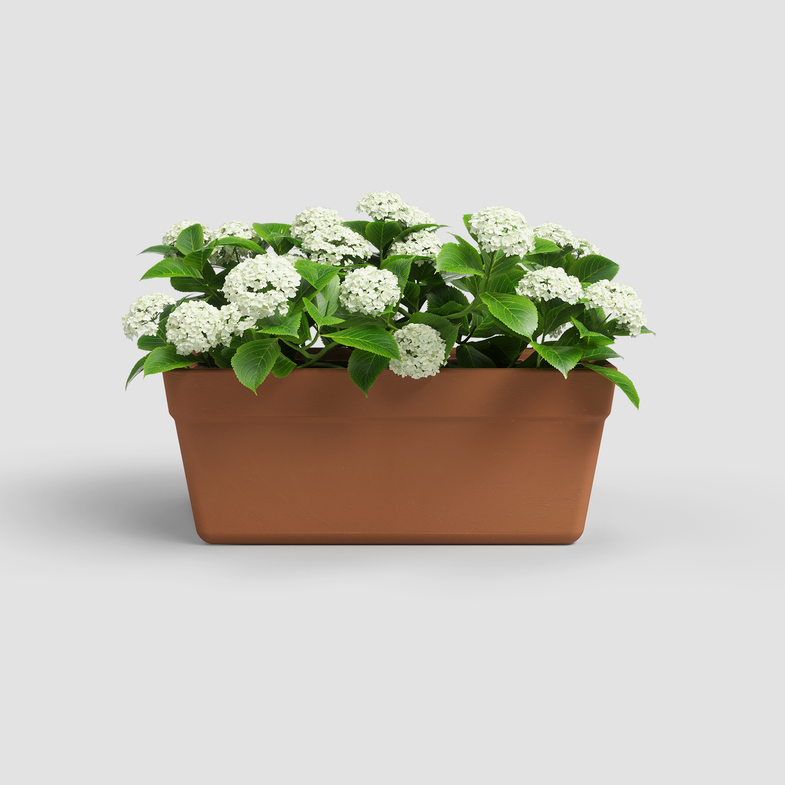 Amália Plant Box