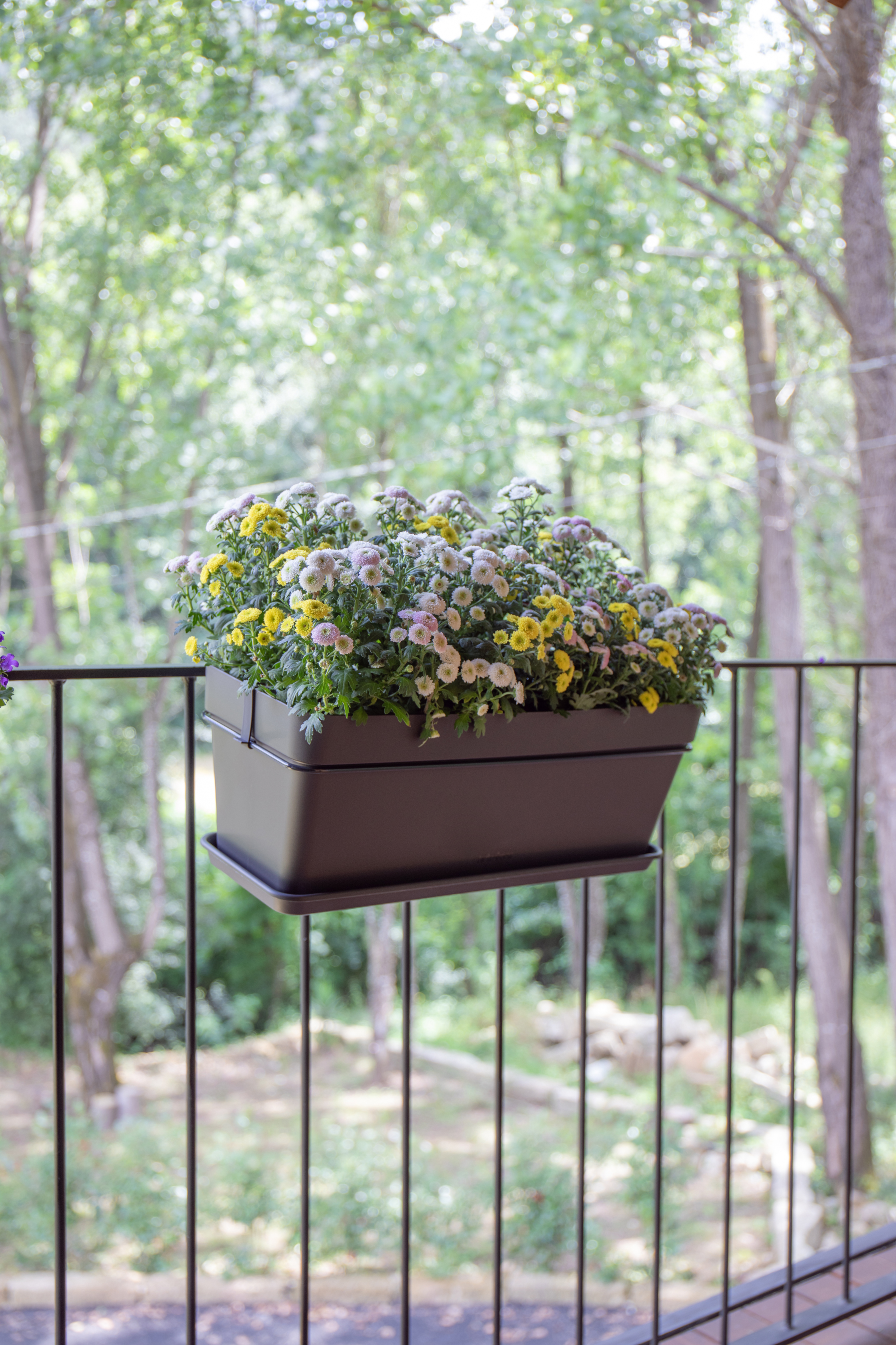 Capri Balcony Plant Box Kit