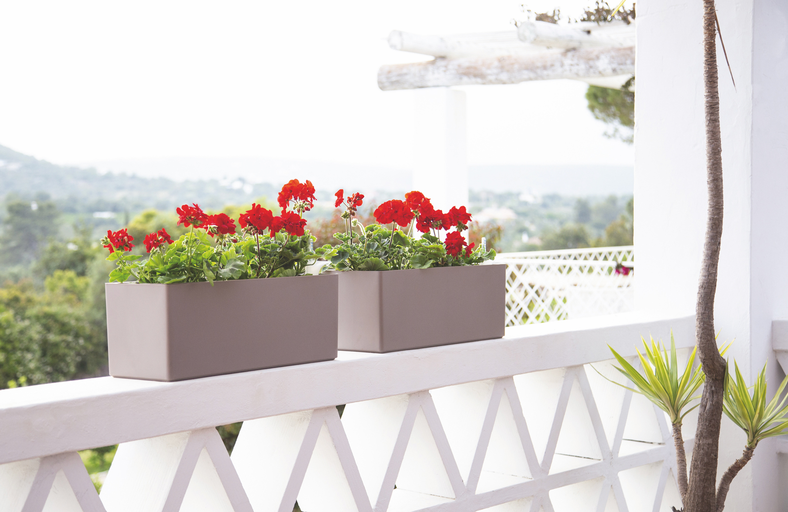 Rimini Plant Box Self Watering System